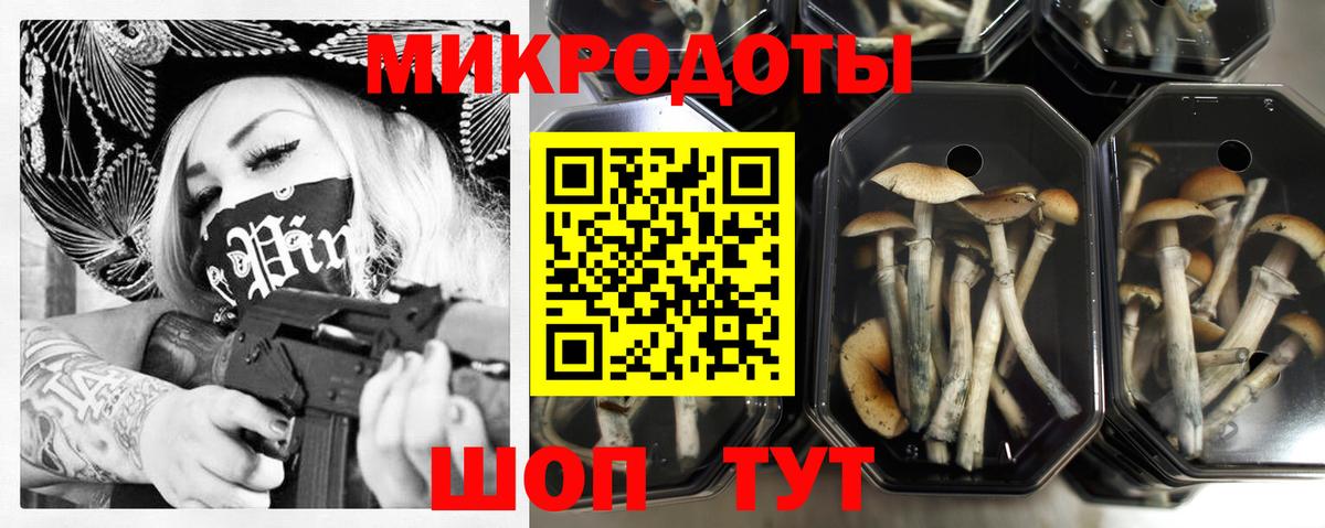закладка  Галлюциногенные грибы прущие грибы  Галлюциногенные грибы GOLDEN TEACHER  Вход с VPN  Красный Сулин 