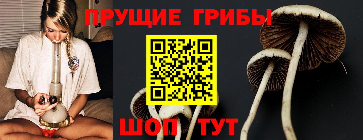 Псилоцибиновые грибы Magic Shrooms Красный Сулин